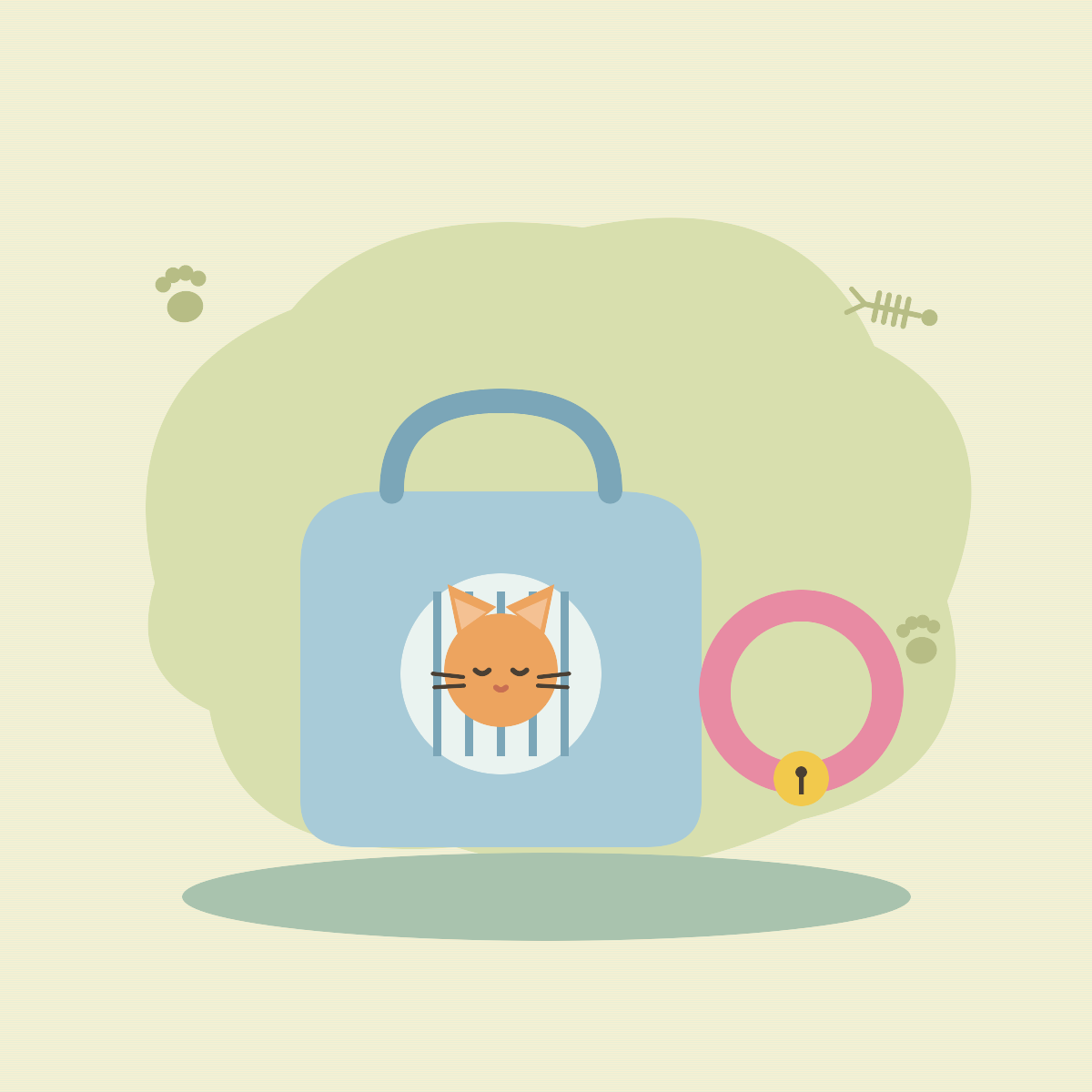 Cat Accessories