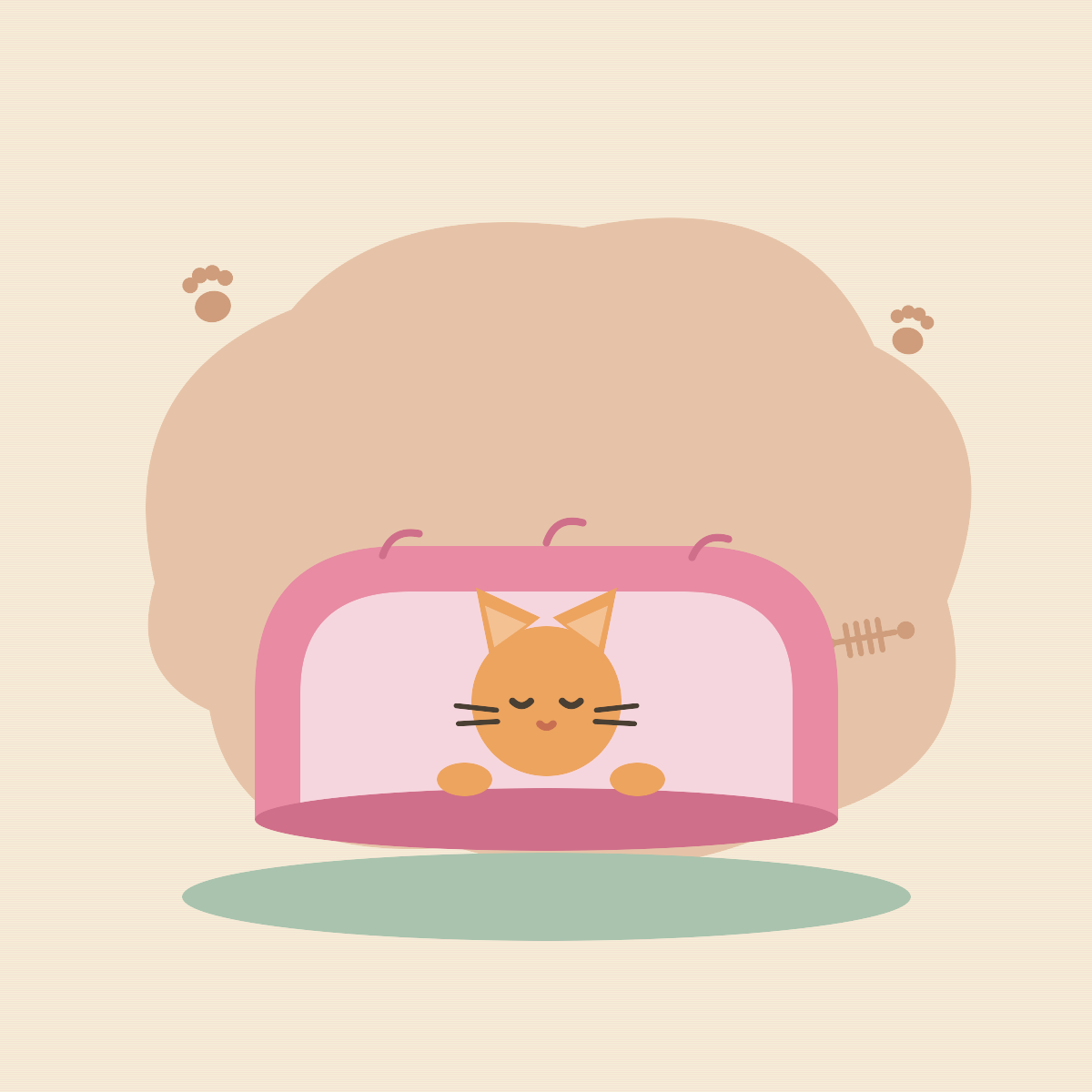 Cat Beds &amp; Tunnels