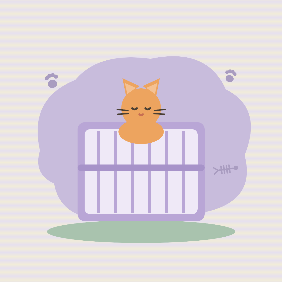 Cat Cages &amp; Playpens