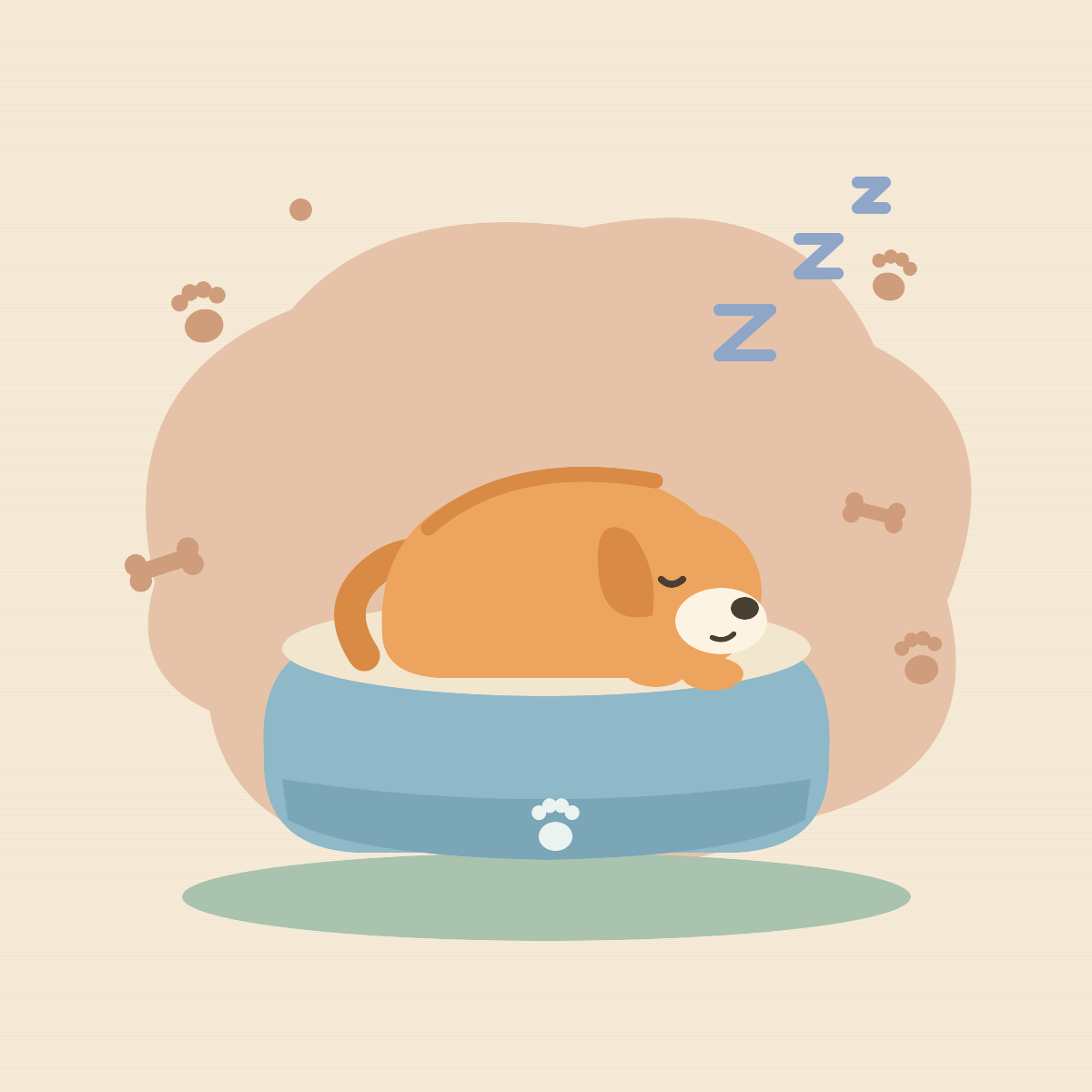 Dog Beds