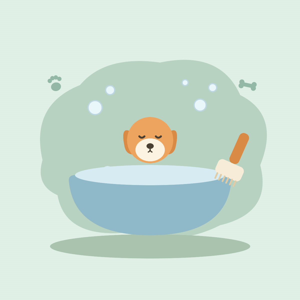 Dog Grooming &amp; Health