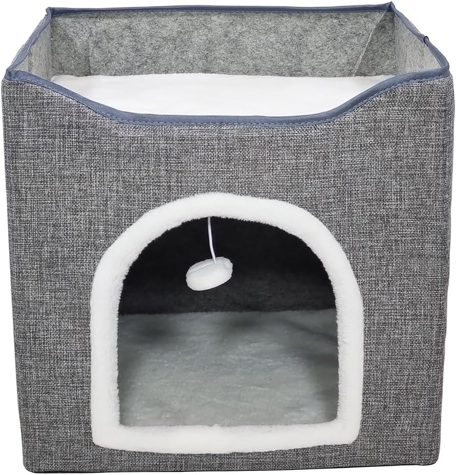 Cat House 11152024 (Grey)