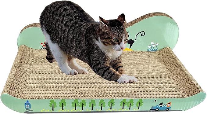 Cat Scratcher (LJQ0096)