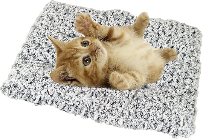 Cat Bed - White & Black Cushion