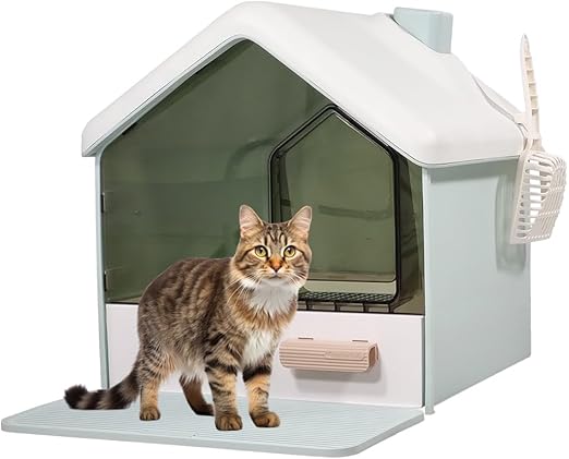 Cat Toilet 2024FEB M11 Green