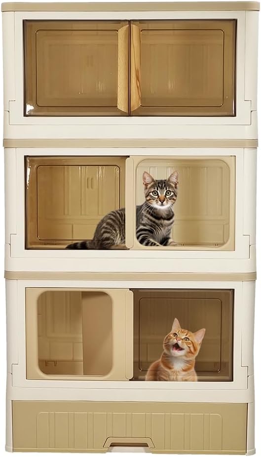 Cat Toilet 2024FEB M14 (Triple Level)