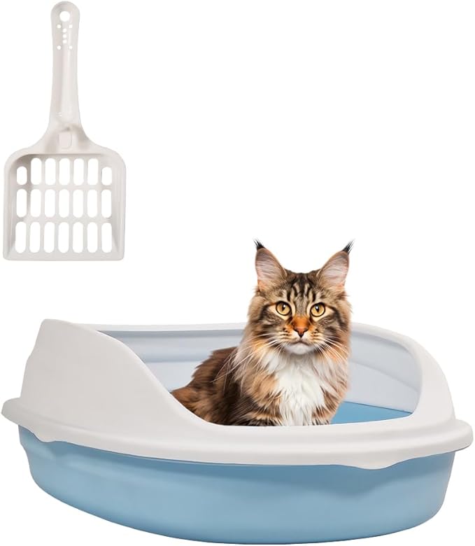 Cat Toilet 2024FEB M2 Small Blue