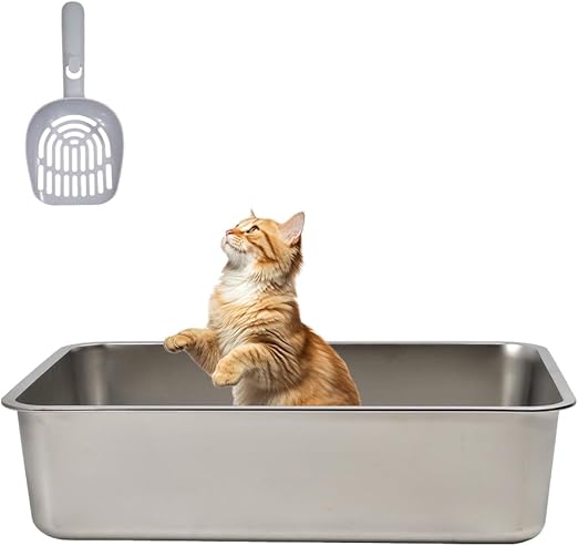 Cat Toilet 2024FEB M9 (Medium)