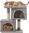 Cat Tree (PCP-007)