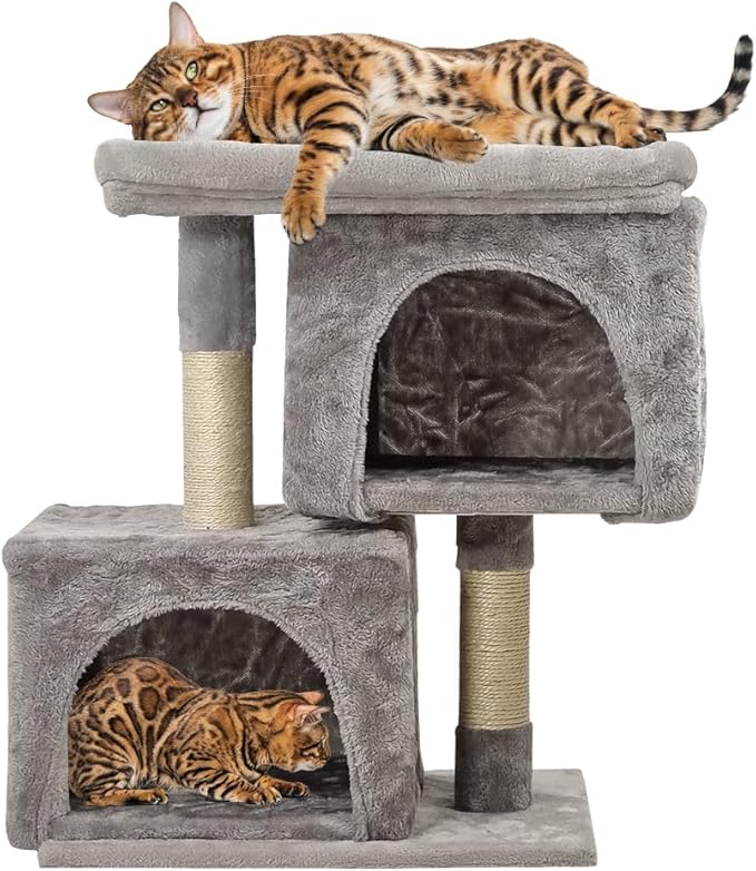 Cat Tree (PCP-007)