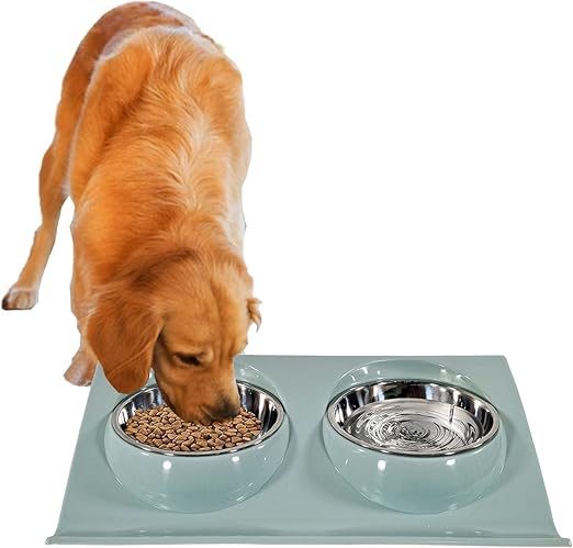 Dog Bowl (Blue) M9