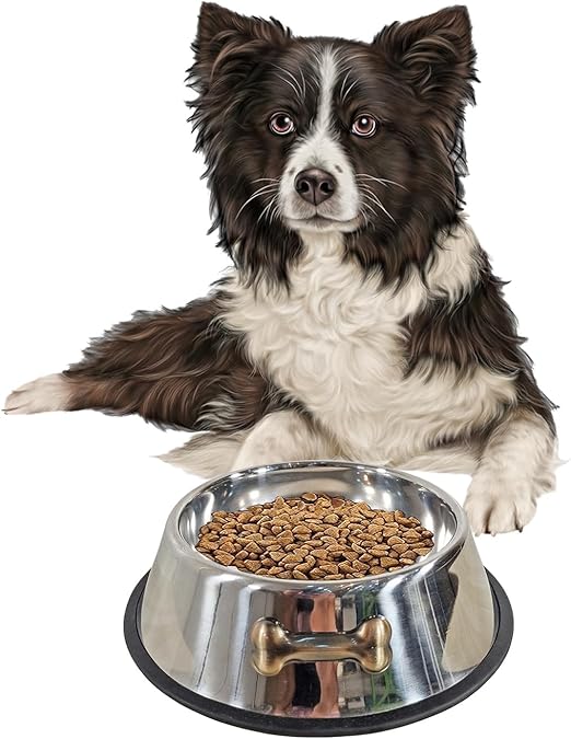 Dog Bowl - Bone Shape