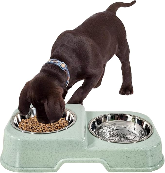 Dog Bowl (Green) M8