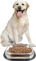 Dog Bowl (Large) M6