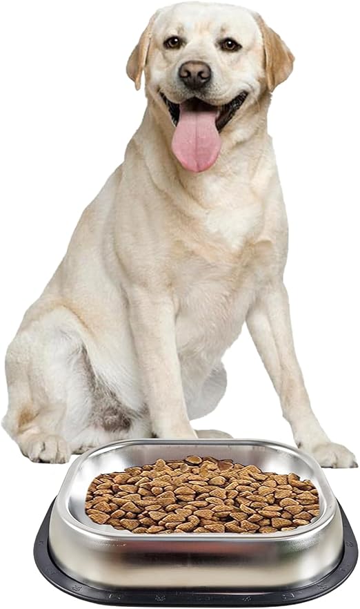 Dog Bowl (Large) M6