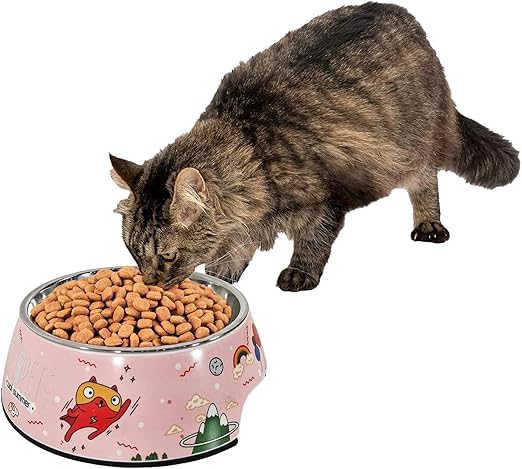 Dog Bowl (Pink) M21