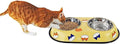 Dog Bowl (Small) M12