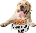 Dog Bowl (White) Large M24