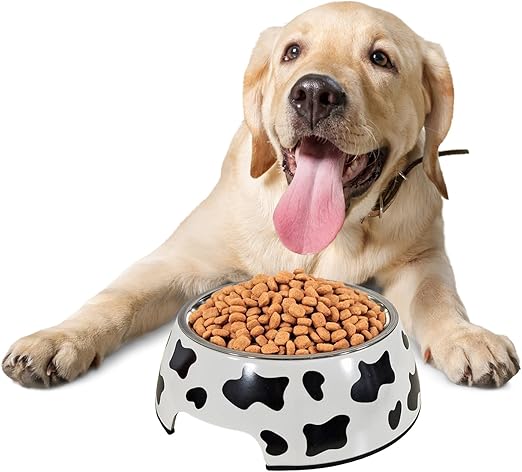Dog Bowl (White) Large M24