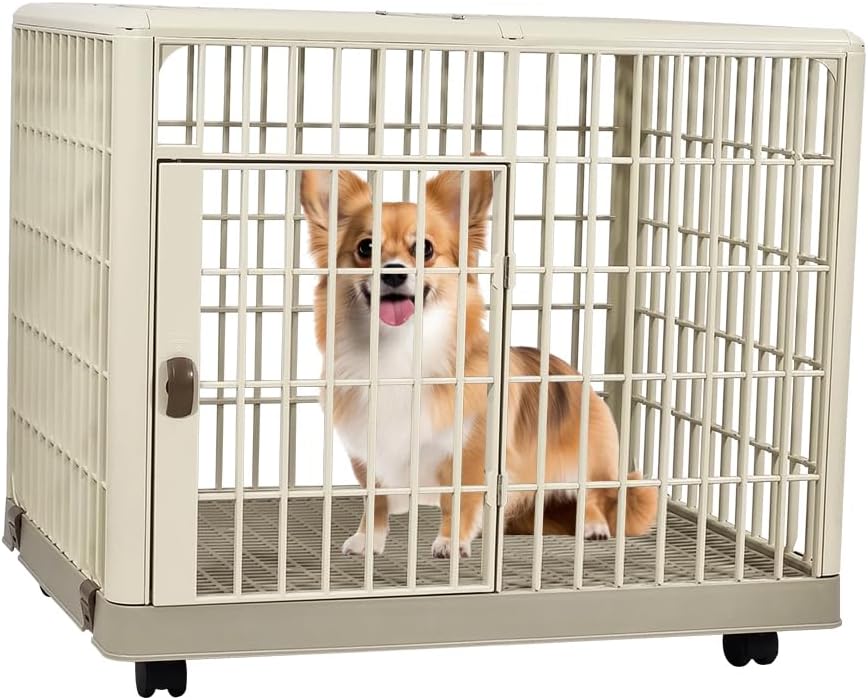 Dog Cage (XDB-4555S) Small