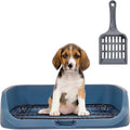 Dog Toilet M2 Blue