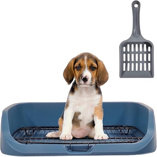 Dog Toilet M2 Blue