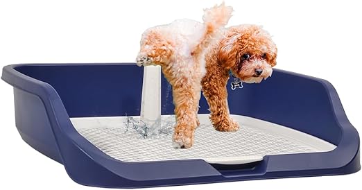 Dog Toilet M4 Blue