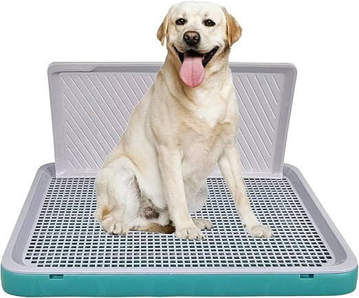 Dog Toilet M3 (Large) Green