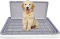 Dog Toilet M3 (Small) Grey