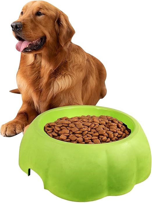 Dog Bowl (Green) M3