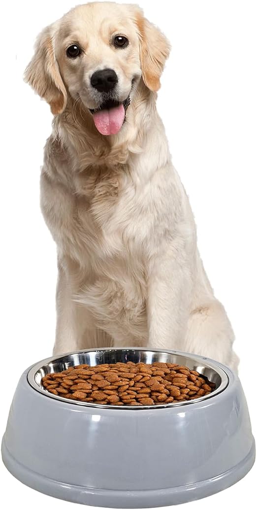Dog Bowl (Grey) M1