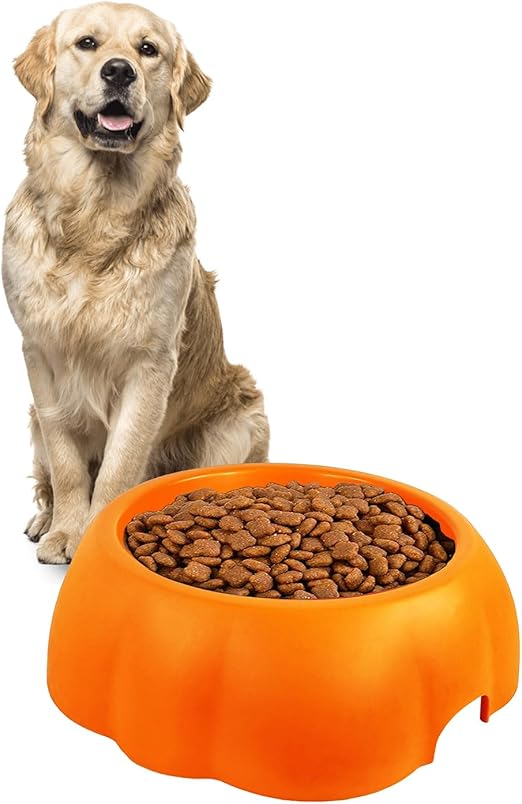 Dog Bowl (Orange) M3