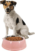 Dog Bowl (Pink) M1