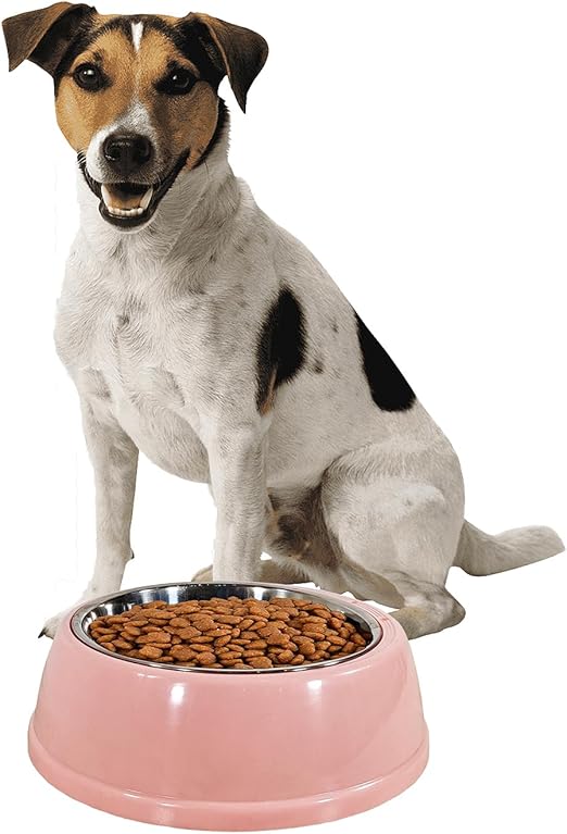 Dog Bowl (Pink) M1