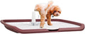 Dog Toilet 2024Feb M10 (Large) Chocolate
