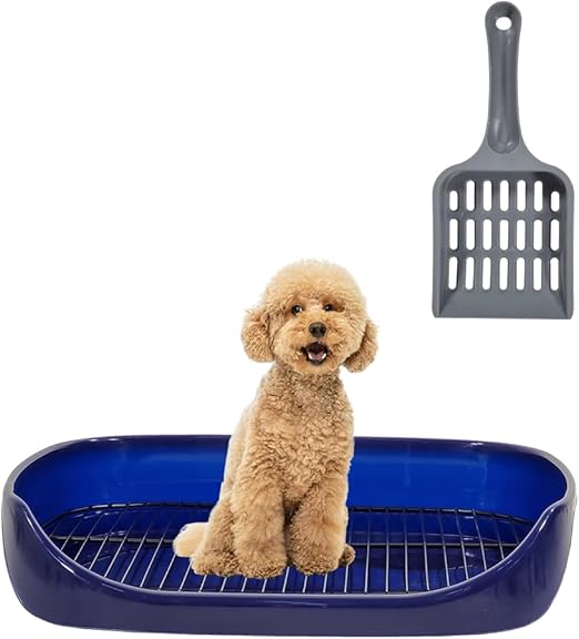Dog Toilet 2024Feb M1 (Blue)
