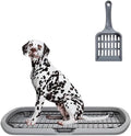 Dog Toilet 2024Feb M2 Grey