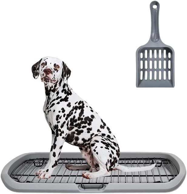 Dog Toilet 2024Feb M2 Grey