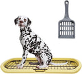 Dog Toilet 2024Feb M2 Yellow
