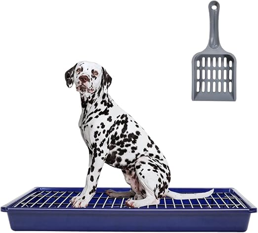 Dog Toilet 2024Feb M3 Blue