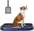 Dog Toilet M5 (Pink)