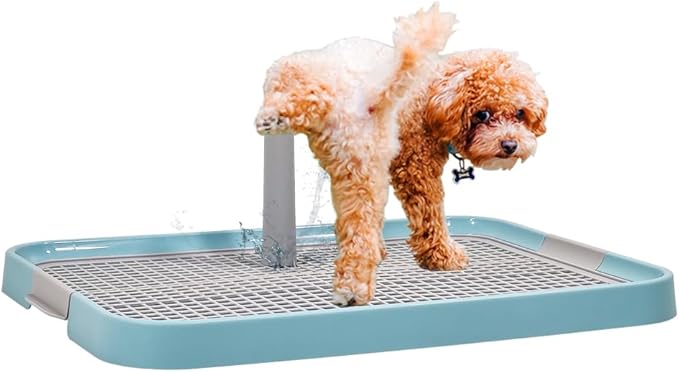 Dog Toilet 2024Feb M6 (Light Blue)