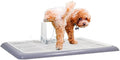 Dog Toilet 2024Feb M7 (Grey, Large)