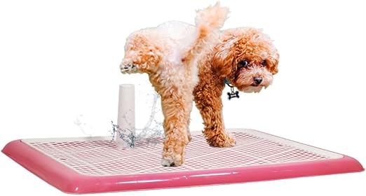 Dog Toilet 2024Feb M7 Pink (Large)