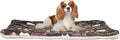 Pet Blanket 5222024 (Chocolate) XL