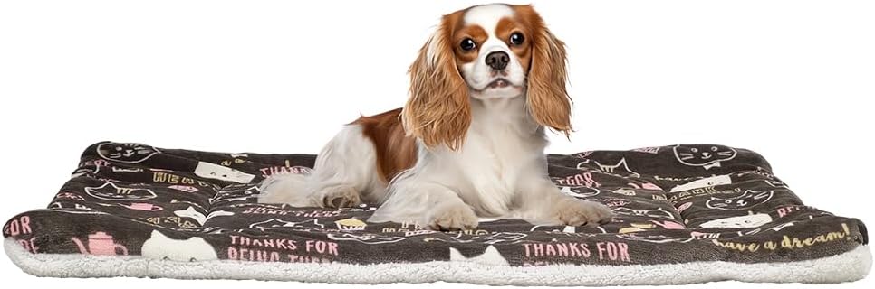 Pet Blanket 5222024 (Chocolate) XL