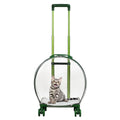 Pet Carrier Bag (Green)