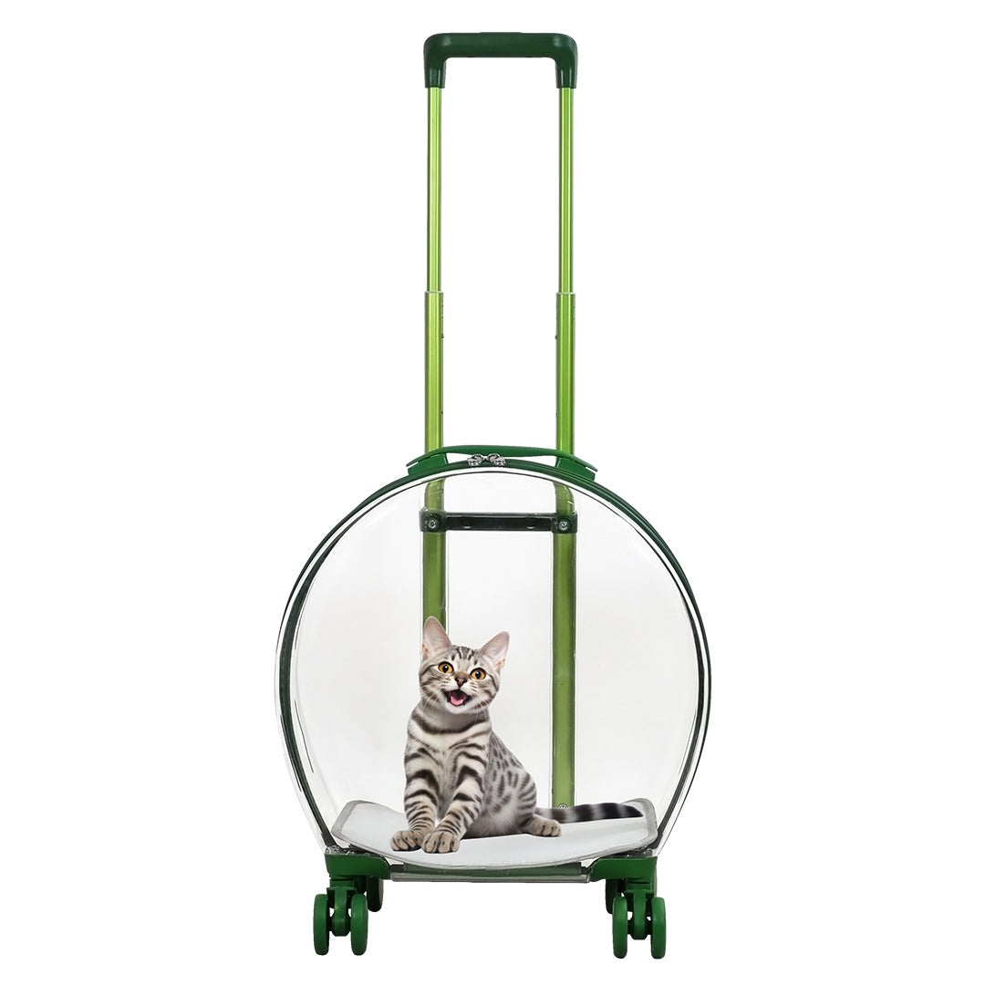 Pet Carrier Bag (Green)