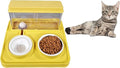 Pet Feeder (Yellow) M34