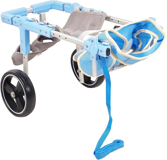 Pet Wheelchair (Large) Blue